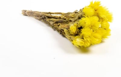 Gedroogd boeket - Zonnebloemen decoratie - Huis aankleden - Natuurlijke uitstraling - 40 cm hoog - Geel