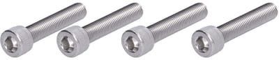 Dailygoods- Hex Bout - 4 Stuks - A2 Roestvrij Staal - DIN 912 - Hoofd Diameter 16 mm - Draaddiameter 10 mm - Steek 1,25 mm - Zeskantbout