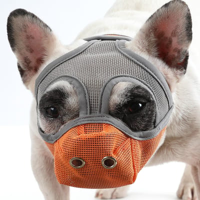 Muilkorf voor honden met een ademend gaas voor honden met een korte snuit Voorkomt bijten en blaffen Small grijs/oranje