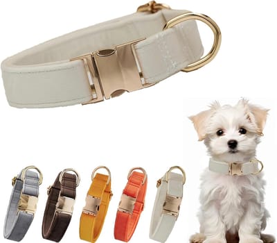 Fluwelen hondenhalsband, verstelbare metalen gesp voor kleine, middelgrote en grote honden, witte verstelbare hondenhalsbanden voor bruiloften, feesten, hardlopen, training en wandelen (wit, S)