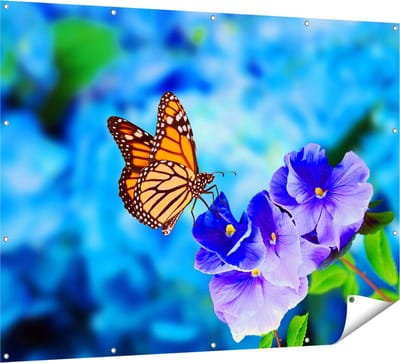 Gards Tuinposter Oranje Vlinder bij Paarse Bloemen - 160x120 cm - Tuindoek - Tuindecoratie - Wanddecoratie buiten - Tuinschilderij