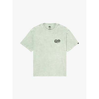 Quiksilver Balance T-shirt Met Korte Mouwen Groen S Man
