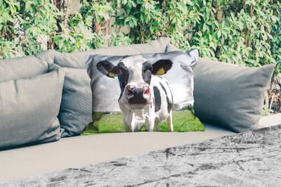 Buitenkussens - Tuin - Koe - Weiland - Natuur - Dieren - Gras - 50x30 cm