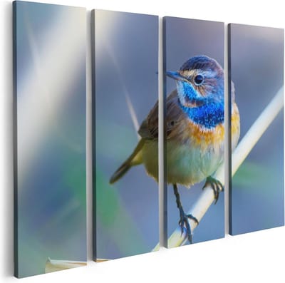 Artaza Canvas Schilderij Vierluik Kleurrijke Blauwborst Vogel Op Een Tak - 80x60 - Foto Op Canvas - Canvas Print