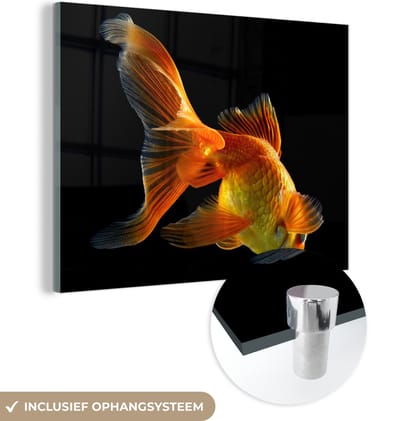 MuchoWow® Glasschilderij 160x120 cm - Schilderij acrylglas - Goudvis - Dieren - Zwart - Foto op glas - Schilderijen