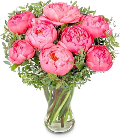 Boeket Pioenrozen - Verse bloemen - Bloemen cadeau geven - Delicaat en geurig - 60 x 30 x 30 cm