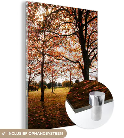 MuchoWow® Glasschilderij 30x40 cm - Schilderij acrylglas - Herfst - Herfstbladeren - Natuur - Foto op glas - Schilderijen