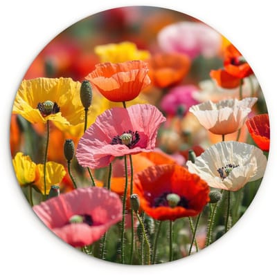 WallCircle® Wandcirkel 120x120 cm - Muurcirkel Bloemenveld - Klaprozen - Kleurrijk - Muurdecoratie woonkamer - Wanddecoratie slaapkamer - Kamer decoratie accessoires - Ronde schilderijen XXL
