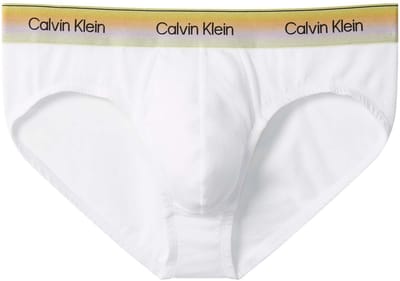 Calvin Klein Boxer Ondergoed Hip Brief - Fashion Wear - Volwassen