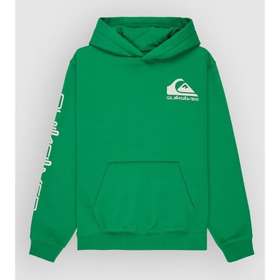Quiksilver Omni Logo Kids Hoodie groen