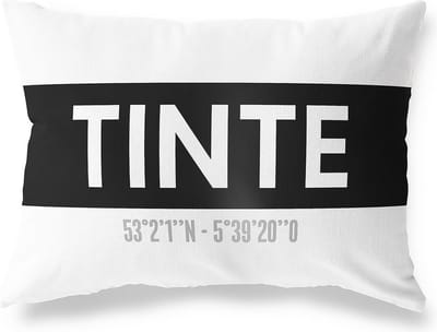 Tuinkussen TINTE - ZUID-HOLLAND met coördinaten - Buitenkussen - Bootkussen - Weerbestendig - Jouw Plaats - Studio216 - Modern - Zwart-Wit - 50x30cm