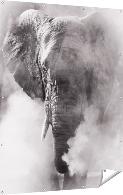 Gards Tuinposter Olifantenkop - Olifant - Zwart Wit - 120x160 cm - Tuindoek - Tuindecoratie - Wanddecoratie buiten - Tuinschilderij
