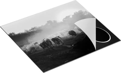 Chefcare Inductie Beschermer Kudde Koeien in Weiland bij Zonsondergang - Zwart Wit - 60x50 cm - Afdekplaat Inductie - Kookplaat Beschermer - Inductie Mat