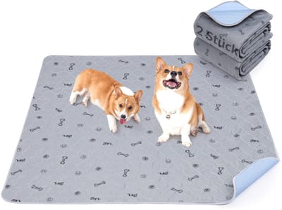 Training pads, 2 stuks, zeer absorberend, 92 x 122 cm, waterdicht en wasbaar, antislip hondendeken voor bank en vloer, grijs