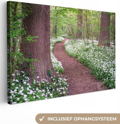 Canvas Schilderij Bos - Pad - Bloemen - Wit - 30x20 cm - Wanddecoratie