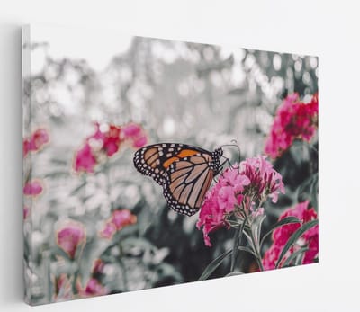 Saammp Canvas Schilderij - Vlinder bij Roze Bloemen - Dieren - Natuur - 30x20 - Foto op canvas - Wanddecoratie - muurdecoratie Woonkamer - Slaapkamer decoratie - Canvas Print