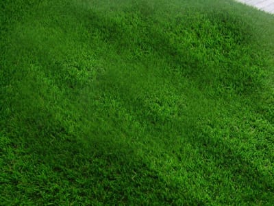 White-Label® Kunstgras 400cm - Grastapijt voor Buiten