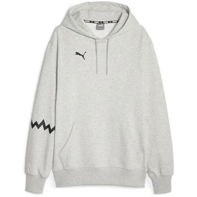 Capuchon sweaters Puma Hoops Team