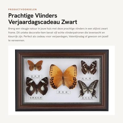 Dailygoods- Papiergewicht Decoratie - Vlinders Voorbeeld - Cadeau - Decoratie Woonkamer - Decoratie Slaapkamer - Zwart Frame - 5 Stuks