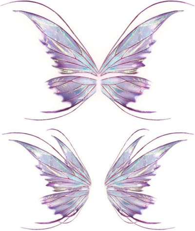 Tijdelijke tattoo - Festival - Tattoeage - Vlinder - Glitter - Festival accessoire