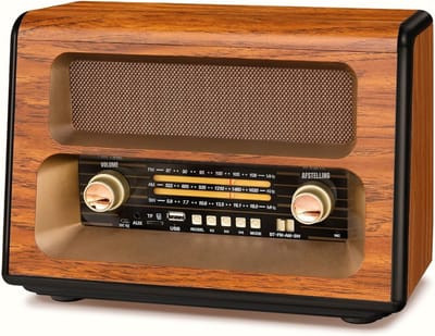 QIN® Transistor Radio Op Batterijen - Transistor Radio - Transistor Radio met Netvoeding - Bruin - 35cm x 20cm x 28cm