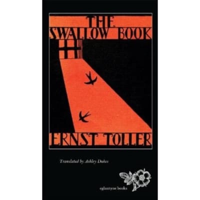 Het Zwaluwenboek door Ernst Toller Paperback Boek 9781913378011