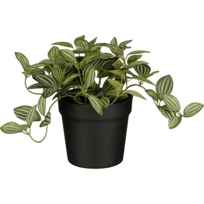 Kunstplant Mica Tradescantia in pot 16x16cm