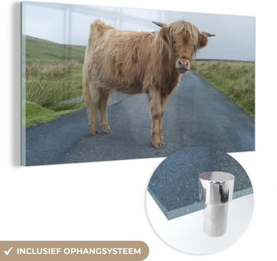 MuchoWow® Glasschilderij 40x20 cm - Schilderij acrylglas - Schotse Hooglander - Weg - Gras - Foto op glas - Schilderijen