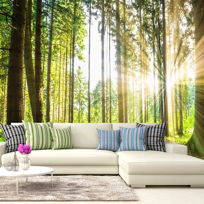 98cm X 70cm - Zelfklevend fotobehang -  Verhalen uit een bos  , Premium Print