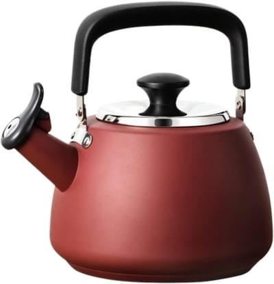 Waterkoker RVS - Theepot Fluitketel - Koken Water - Geschikt Alle Vuren - 19 Liter - Zwart