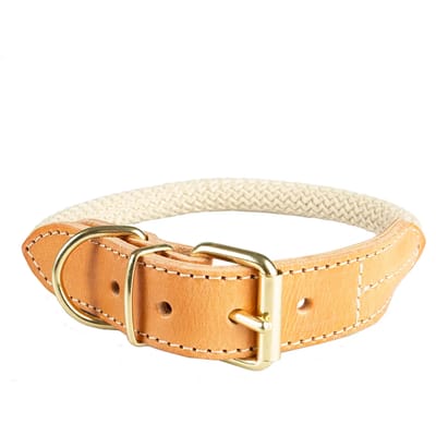 Duvoplus - Halsband Voor Dieren - Hond - Explor Forest Halsband Nylon M - 47-51cm/8mm Beige - 1st