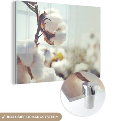 MuchoWow® Glasschilderij 40x30 cm - Schilderij acrylglas - Planten - Bloem - Tak - Natuur - Foto op glas - Schilderijen