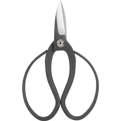 Sécateurs à Bonsaï de Jardin en Acier Composite Ciseaux Outils de Jardinage pour Débutant gray