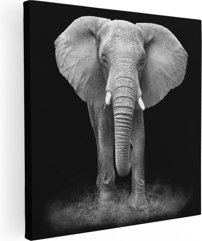 Artaza Canvas Schilderij Dierenkop Olifant - 30x30 cm - Klein - Muurdecoratie Woonkamer - Wanddecoratie Dierenhoofd - Kamer Accessoires