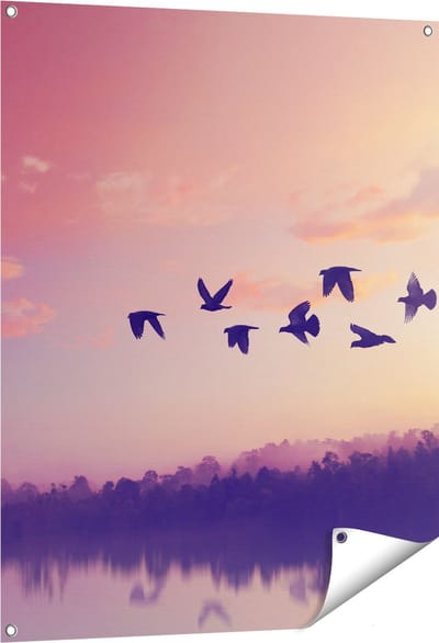 Gards Tuinposter Silhouet Vogels tijdens Zonsondergang - 80x100 cm - Tuindoek - Tuindecoratie - Wanddecoratie buiten - Tuinschilderij