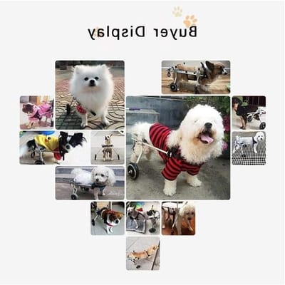 Hondenrolstoel Achterpoten - Hulpstuk Honden - Mobiliteit Verbeteren - Verstelbaar Ontwerp - Maat XSmall - Zilver