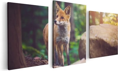 Artaza Canvas Schilderij Drieluik Vos in het Bos bij Stenen - 120x60 - Foto Op Canvas - Canvas Print