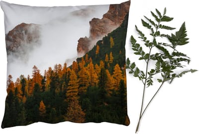 Sierkussens - Kussentjes Woonkamer - 40x40 cm - Dennenboom - Herfst - Berg - landschap