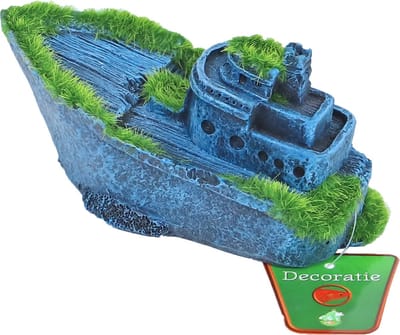 De Boon Gezonken Half Schip + Mos