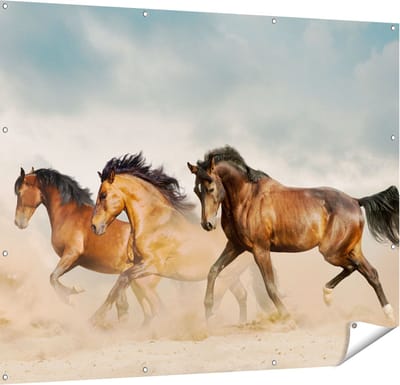 Gards Tuinposter Drie Bruine Paarden - 150x120 cm - Tuindoek - Tuindecoratie - Wanddecoratie buiten - Tuinschilderij