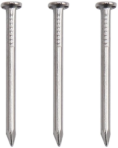 Hardware Nagels - Vernikkelde Spijkers - Foto's Ophangen - Platte Kop - 2.5 cm - Zilver