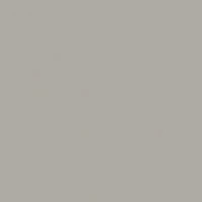 Vinyl | UNI kleed vinyl | Licht Grijs | 90x120 cm | Het UNI kleed vinyl in Licht Grijs biedt stijl, comfort en duurzaamheid. Perfect voor elk interieur, onderhoudsvriendelijk en gemaakt van 100% gerecycled vinyl. Een slimme keuze voor gezinnen!