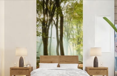 Behang - Fotobehang Bos - Zon - Seizoenen - Landschap - Breedte 120 cm x hoogte 240 cm