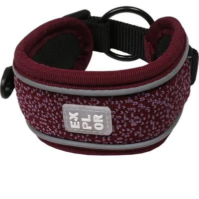 Duvoplus - Halsband Voor Dieren - Hond - Ultimate Fit Control Halsband Fashion Xl - 52-61cm Granite Black - 1st