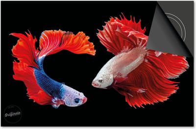 Inductie beschermer 60x60 - afdekplaat inductie mat - Dietrix Kookplaat beschermer - Exclusief - Under the Sea - Clownvissen