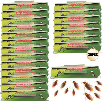 Dailygoods- Kakkerlakkenval 30 Stuks - Insectenvallen - Kakkerlakken Bestrijden - Diervriendelijk - Niet Giftig - Eenvoudig te Installeren - Insectenval