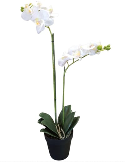 Mica Decorations kunstplant Phalaenopsis Orchidee wit H67cm D25cm