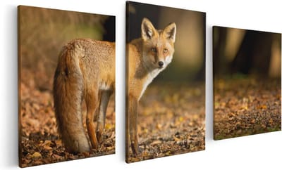Artaza Canvas Schilderij Drieluik Vos in het Herfstbos - 120x60 - Foto Op Canvas - Canvas Print