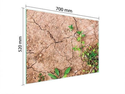 TMK ArtDeko - Serie - Glazen Beschermplaat voor Kookplaat - 70x52 cm - Gehard Glas - Plant Motief