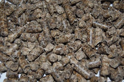 Bietenpulp 6mm 20KG Aanvullende voeding